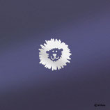Kinder Sticker: Reflektor LÖWE