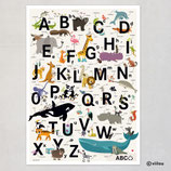 Kinderzimmer Poster: POSTER ABC (englische Version)