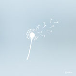 Fenster Sticker PUSTEBLUME SILHOUETTE