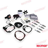 KIT TAGLIANDO Mercury 250/300 HP V8 (4.6L) 4T - RECKITMER4.6