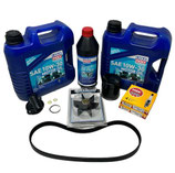 KIT TAGLIANDO JOHNSON 60PL4 E 70PL4 DAL '99 in poi