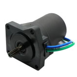 Motorino Trim per Selva Manta 40HP - 65W-43880-00