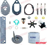 KIT TAGLIANDO MERCURY 40HP 3 CILINDRI 4T - RECKITMER40