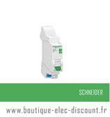 Disjoncteur 10A ss vis réf R9EFC610 Schneider