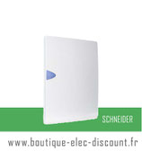 SCHNEIDER - OPALE - PORTE OPAQUE POUR COFFRET 13M - 2R - 13422 - ANCIEN MODELE