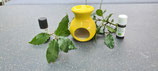 Diffuseur Huiles essentielles jaune soleil