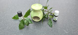 Diffuseur Huiles essentielles vert clair
