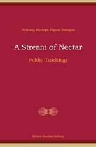 Kyobpa Jigten Sumgön, A Stream of Nectar, Public Teachings