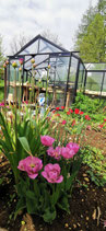 Plants Bio saison 2026