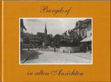 Burgdorf in alten Ansichten