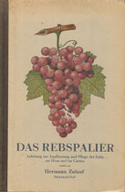 Das Rebspalier 1952