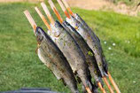 Karfreitag Steckerlfisch Forelle frisch vom Grill