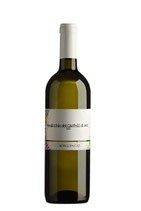 Verdicchio dei castelli di Jesi DOC