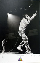 The Rolling  Stones-Mick stage（Limited Framed）
