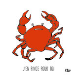 J'en pince pour toi
