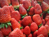 Fraises