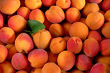 Abricots