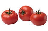 Tomates rondes