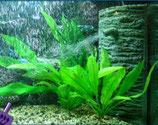 Ersatz Filterblock für Ecke Aquariumfilter Innenfilter G800