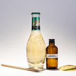 Tanqueray London Dry Gin & Ginger Ale