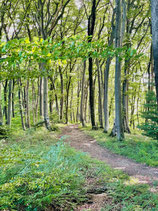 Cross-Trailen
