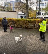 Tiersuchtraining