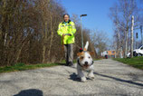 5 x Trail-Theorie