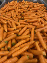 Karotten Speise (10 kg = 1 Bestelleinheit)