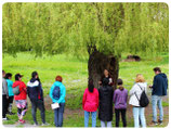 Les Sorties & Découvertes Nature :