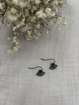 Small black sunshine