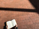 Inside report : creative process documentation for ”Nothing to Watch - Gotham Park” by Emily Young
