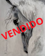 EL CABALLO DE MI HIJA