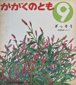 ざっそう　甲斐信枝　かがくのとも　42号