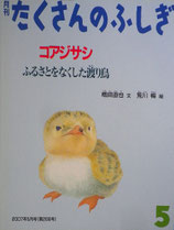 コアジサシ　ふるさとをなくした渡り鳥　たくさんのふしぎ266号
