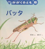 バッタ　かがくのとも595号