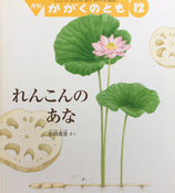 れんこんのあな　松岡真澄　かがくのとも513号