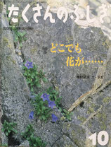どこでも花が・・・・　　増村征夫　たくさんのふしぎ259号