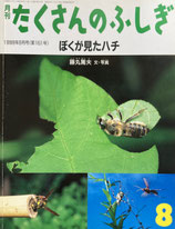 ぼくが見たハチ　藤丸篤夫　たくさんのふしぎ161号