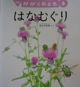 はなむぐり　長谷川哲雄　かがくのとも579号