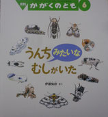 うんちみたいな　むしがいた　　伊藤知紗　　　かがくのとも567号