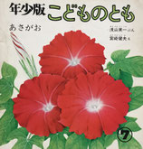 あさがお　宮崎健夫　こどものとも年少版16号