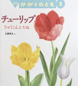 チューリップ　きゅうこんとたね　かがくのとも636号