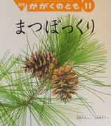まつぼっくり　かがくのとも560号