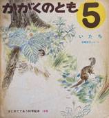 いたち　吉崎正巳　かがくのとも14号