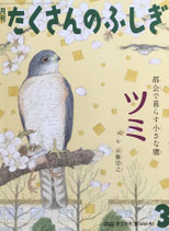 たくさんのふしぎ