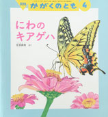 にわの キアゲハ　 岩渕真理　かがくのとも565号