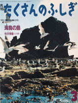 海鳥の島　寺沢孝毅　たくさんのふしぎ72号