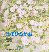 はまひるがお　白根美代子　かがくのとも184号