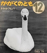 おおはくちょう　やまひらともひこ　かがくのとも69号