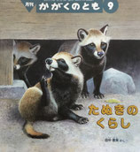 たぬきのくらし　田中豊美　かがくのとも594号